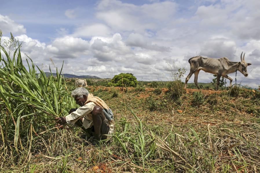 BoP Investor Unitus Seed Fund Mapping Its Impact To The UN's Sustainable Development Goals