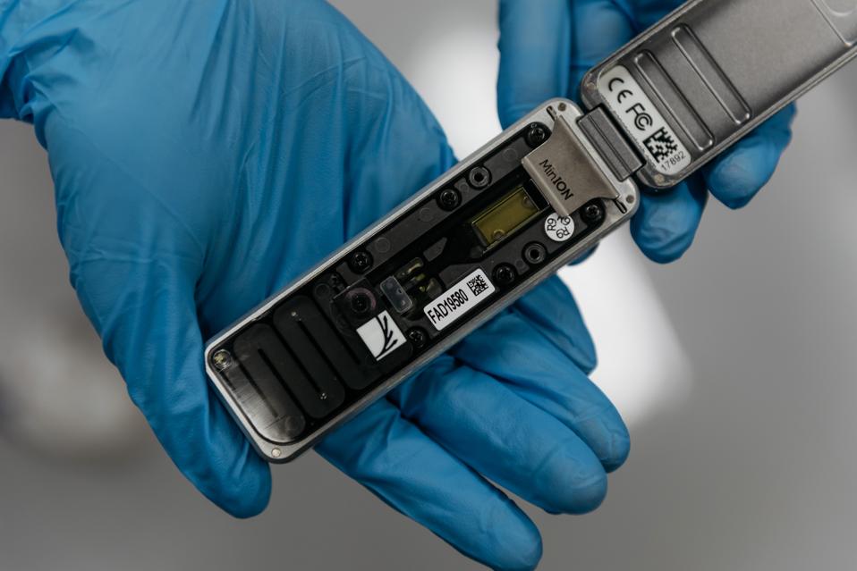Can A Handheld Genetic Testing Device Save Moldy Museum Pieces?