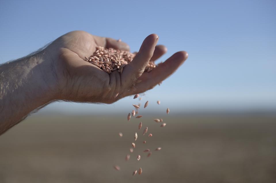 https://specials-images.forbesimg.com/imageserve/45138139/960x0.jpg?fit=scale https://specials-images.forbesimg.com/imageserve/45138139/960x0.jpg?fit=scale