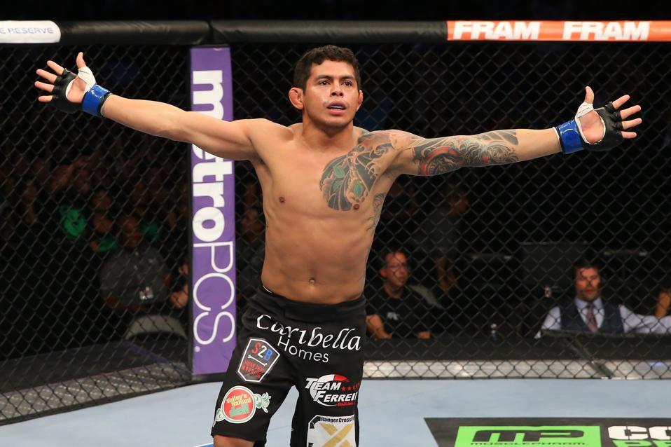UFC 246 Preview, Prediction And Analysis: Can Diego Ferreira Keep ...