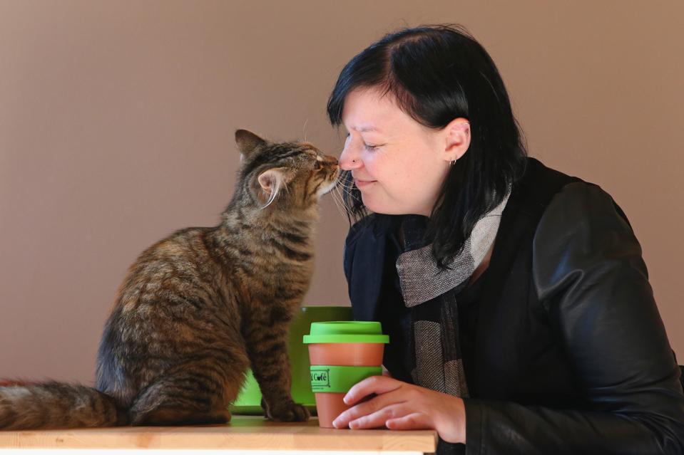Best Cat Caf s In Europe Feline Favorites From Paris And Best Cat Caf s In Europe Feline Favorites From Paris And