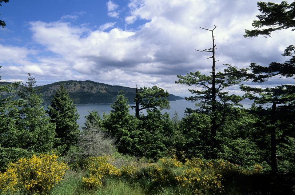 Why You Need To Visit Canada’s Best Pocket-Sized Island Escape