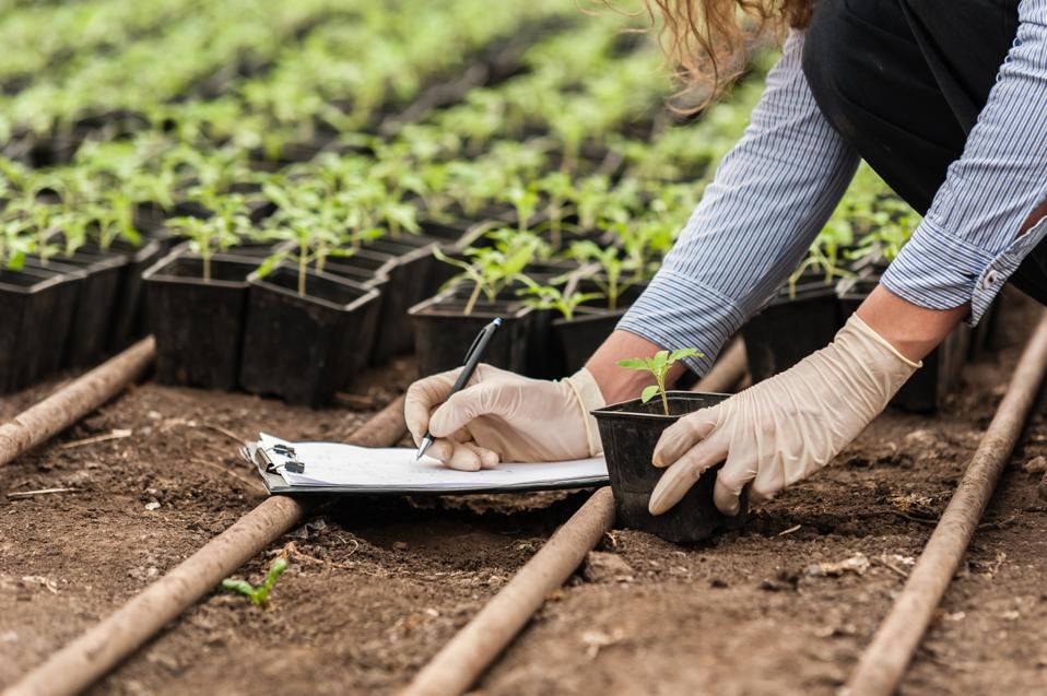 Biotechnology woman engineer