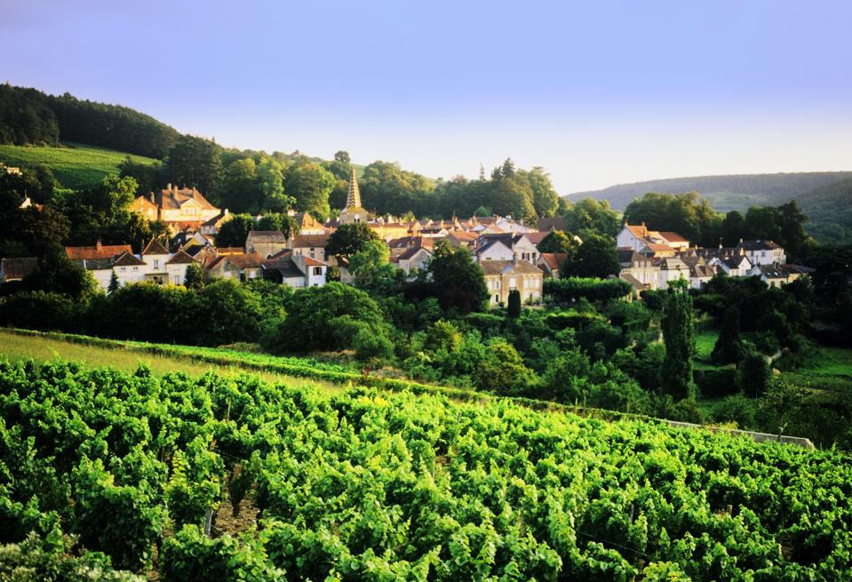 Visiting The Burgundian Wine Region of GevreyChambertin