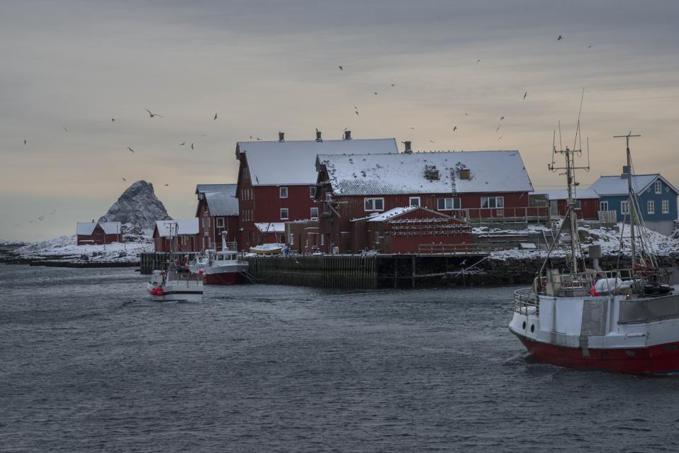 Røst: Norway’s Remote Paradise Island For Birdwatching And Fishing