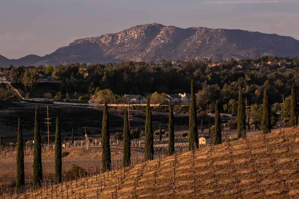The Oldest California Wine Region Grabs Onto New Opportunities