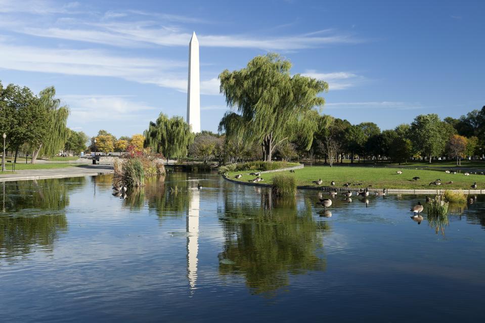 The Best Things To Do In Washington D C