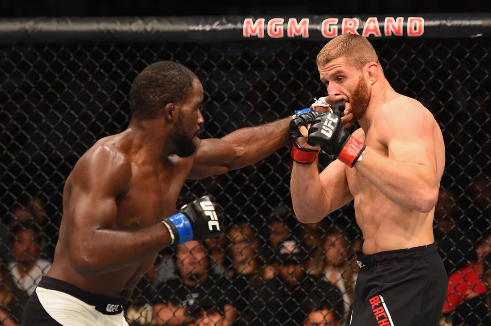 UFC 191: Blachowicz v Anderson