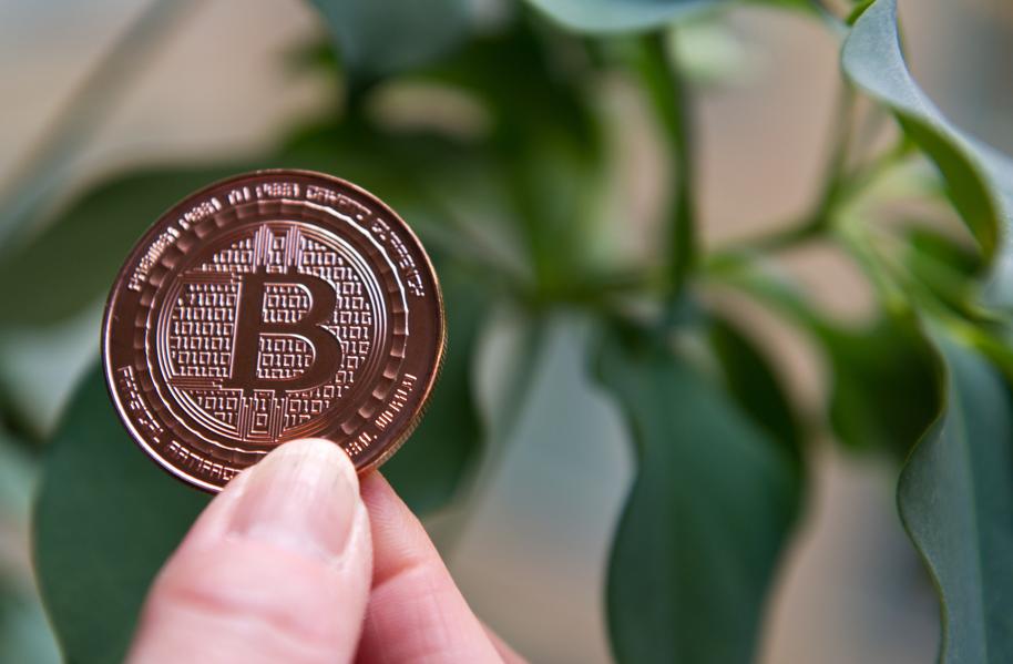 India's Demonetization Is Causing Bitcoin To Surge Inside The Country