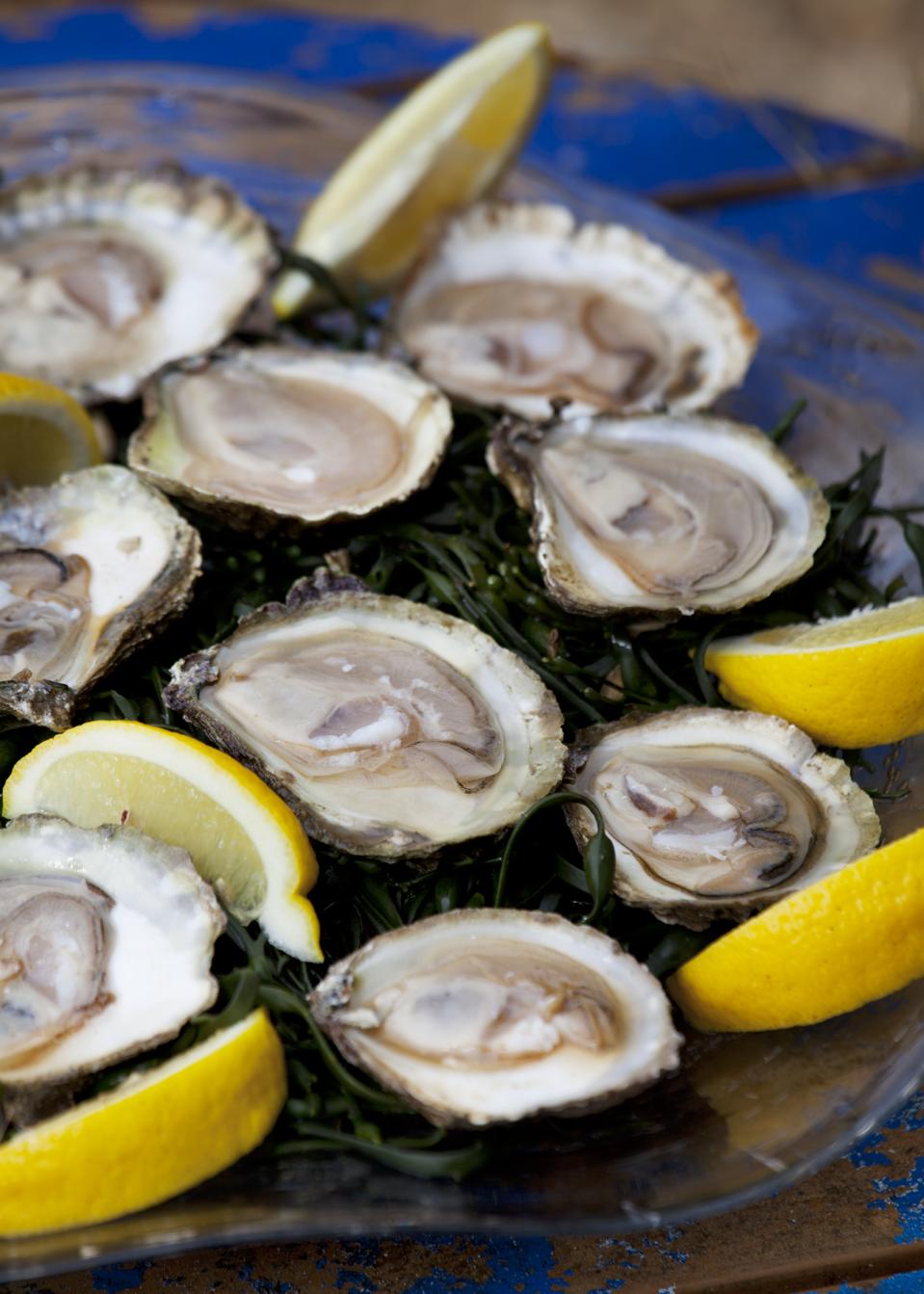 Oysters