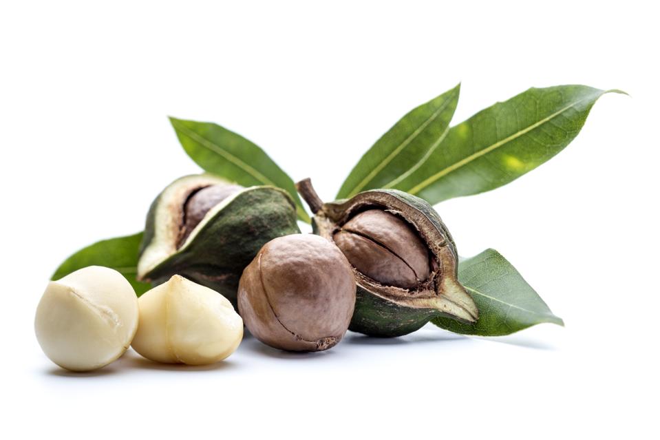 Macadamia nuts with leaves.