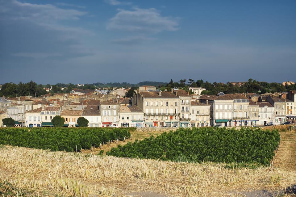 Town of Blaye and vineyard, Bordeaux, France