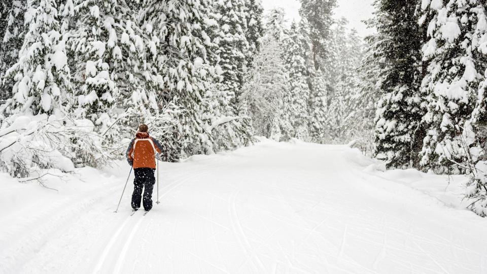Falling snow on a ski trail in the Idaho mountains
