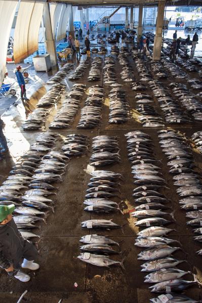 Agriculture, Fisheries And Textiles To Face Same Climate Scrutiny As Oil And Gas