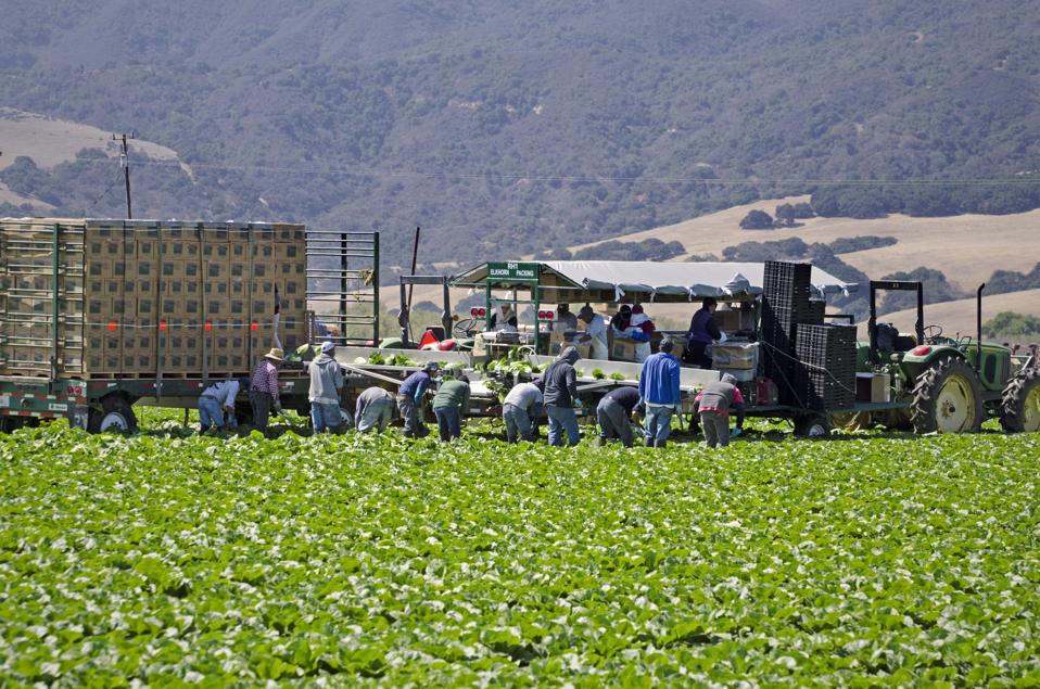Agriculture Tech