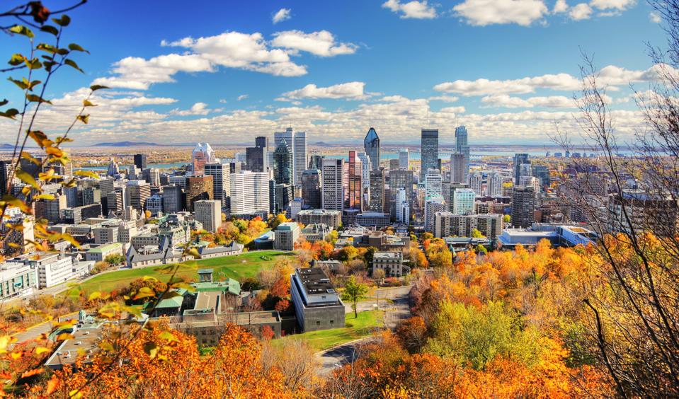 Modafinil Montreal