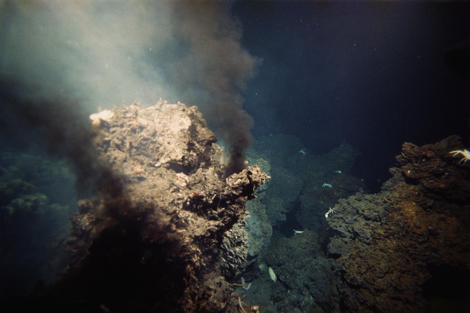 Hydrothermal Vent
