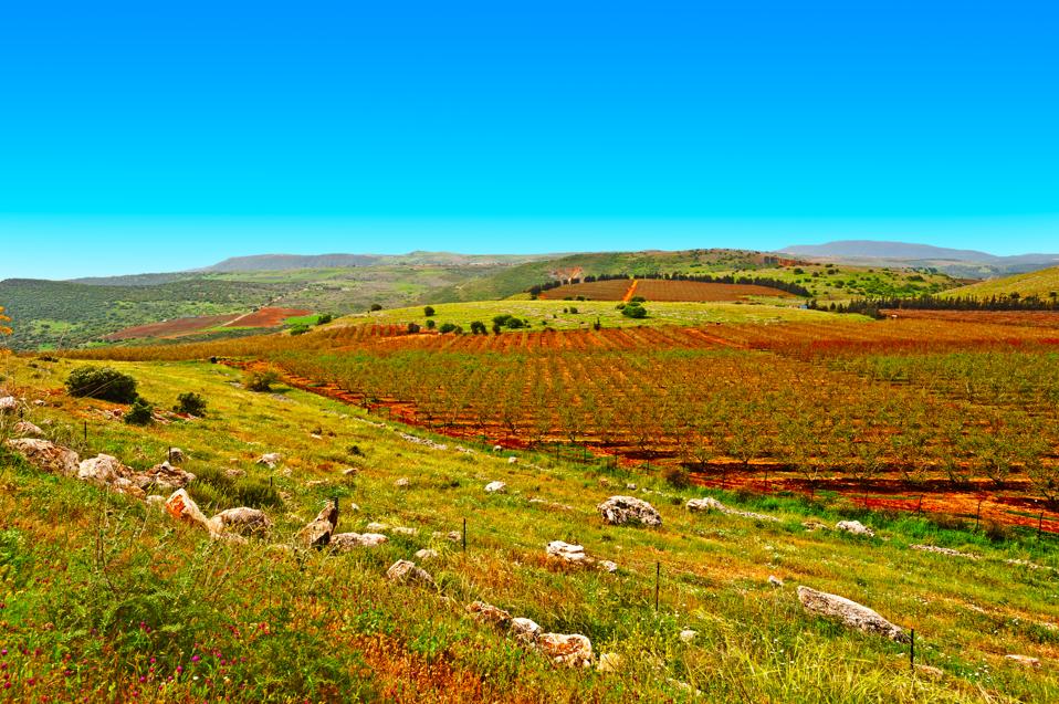 Golan Heights