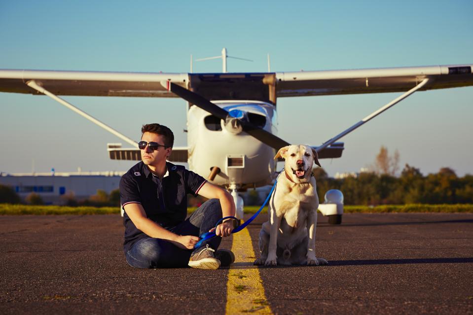 private jets coronavirus lockdown labrador puppy