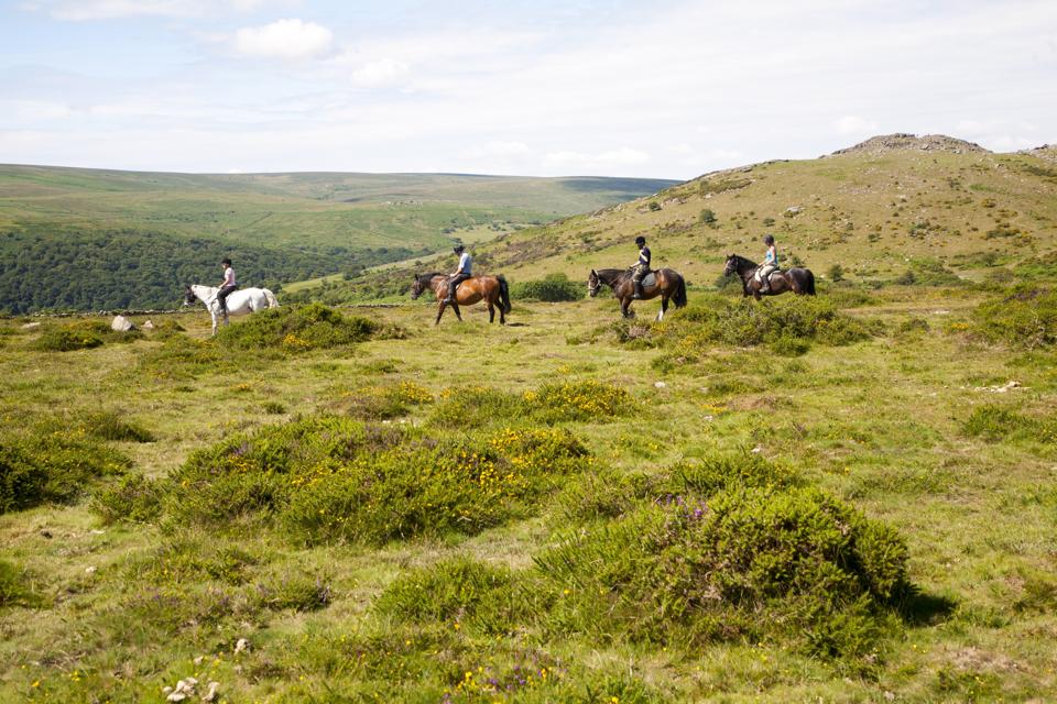 Horse riding holidays are perfect for solo travelers and families