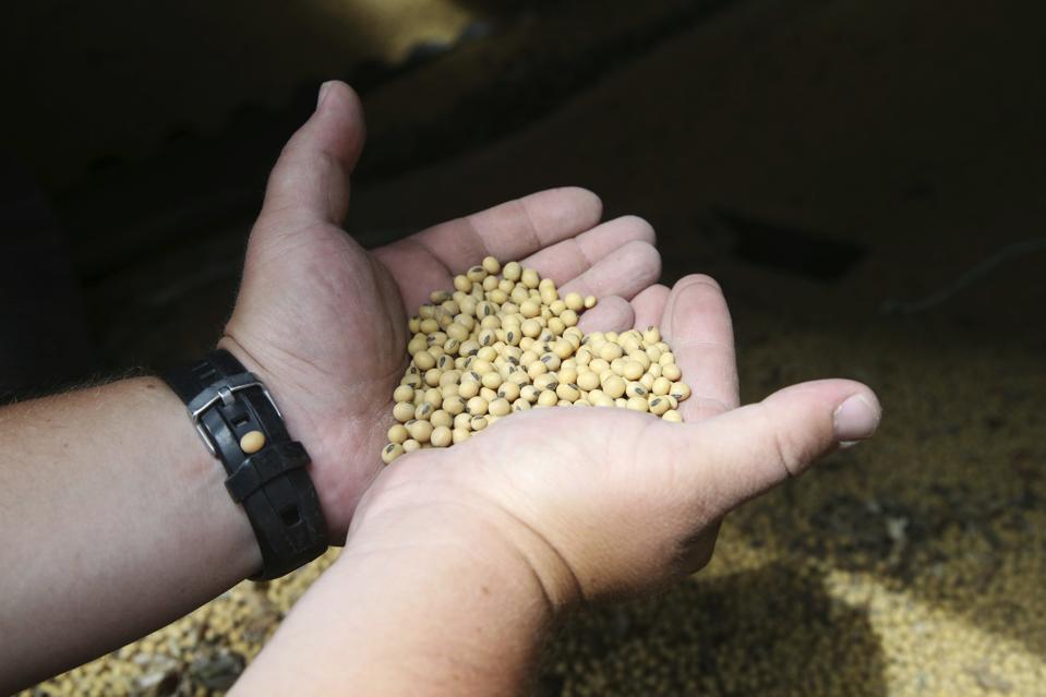 How A Decade Of GMO Controversy Changed The Dialogue About Food Biology Diagrams
