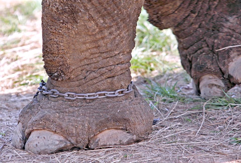 The Christian Science Monitor Archive