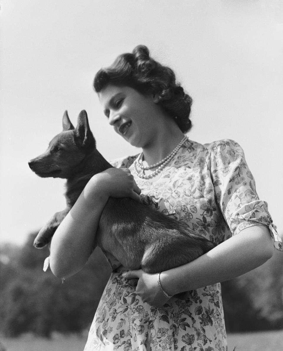 Princess Elizabeth And Corgi