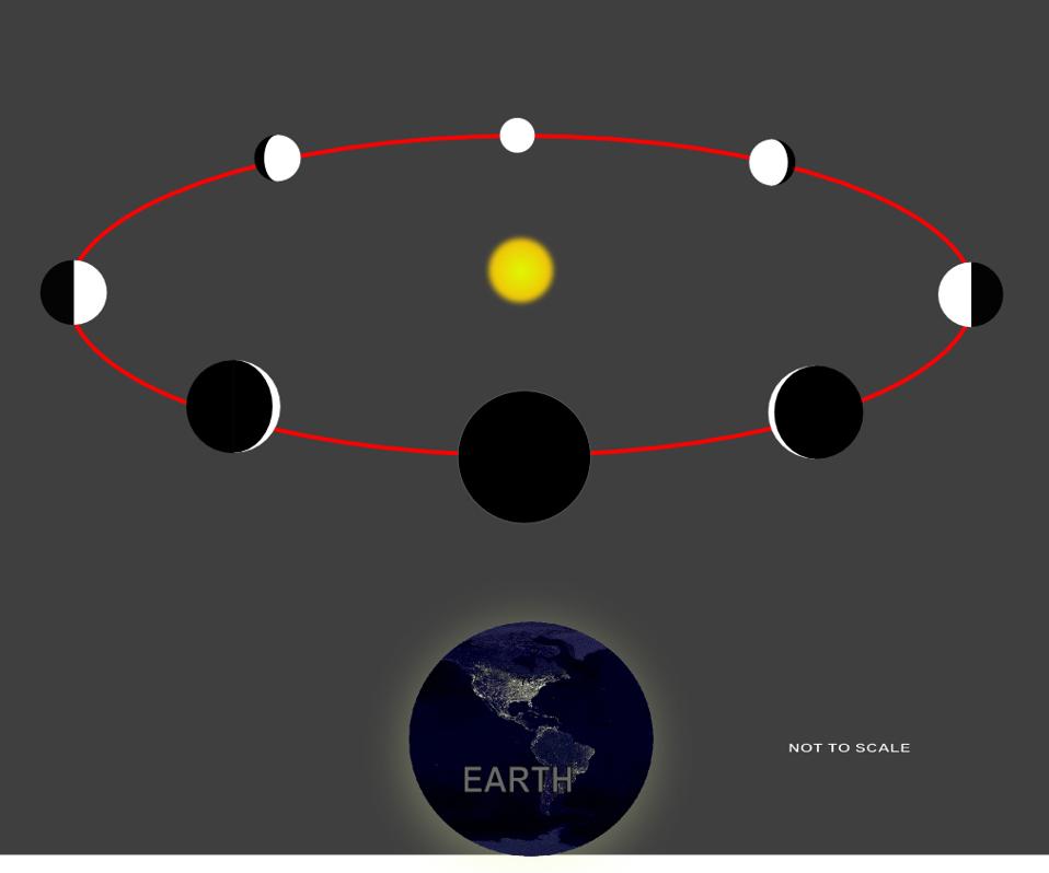 Venus and its phases and sizes, as seen from Earth.