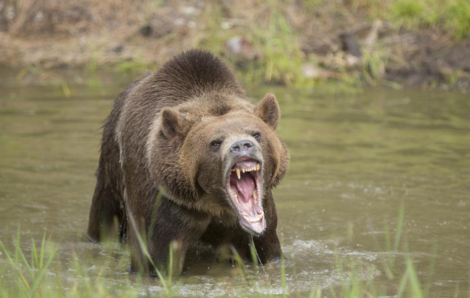 Bear Market: Dow Drops Over 1,400 Points, Ending Longest Bull Market In U.S. History