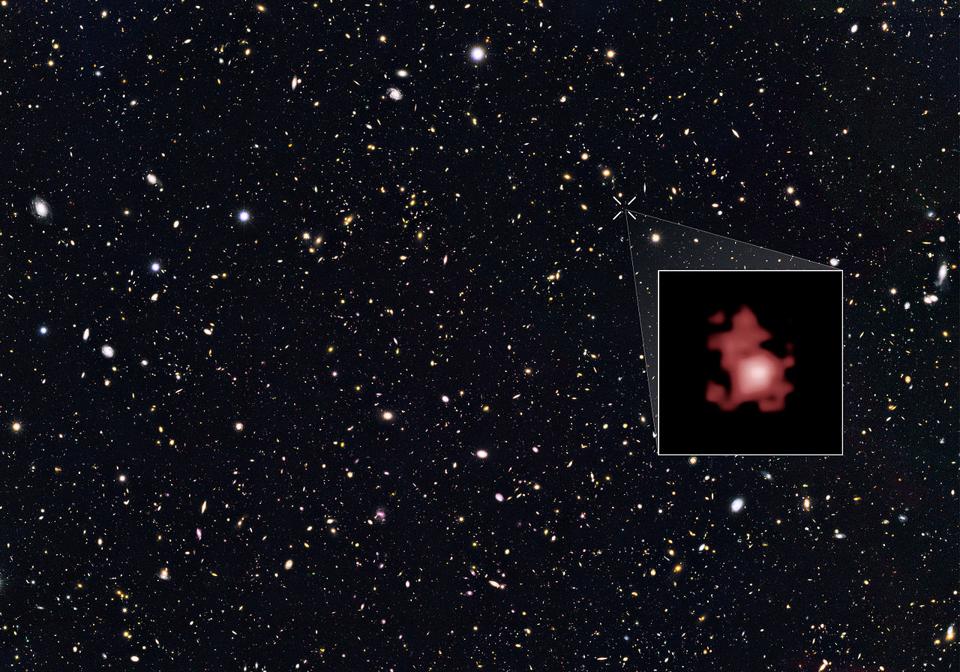 The most distant galaxy ever found: GN-z11, in the GOODS-N field as imaged by Hubble.