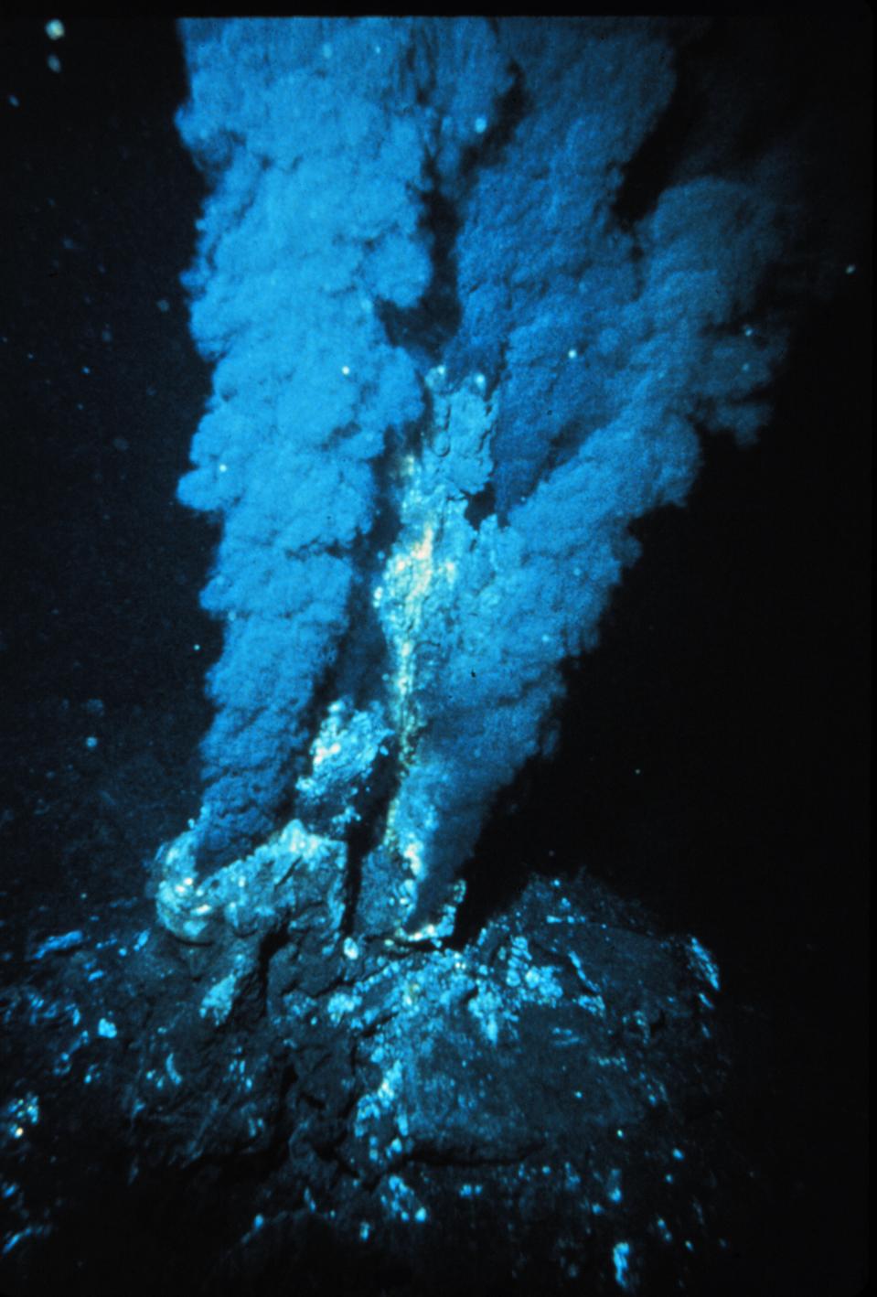 Hydrothermal vents along mid-ocean ridges house extremophile life forms.