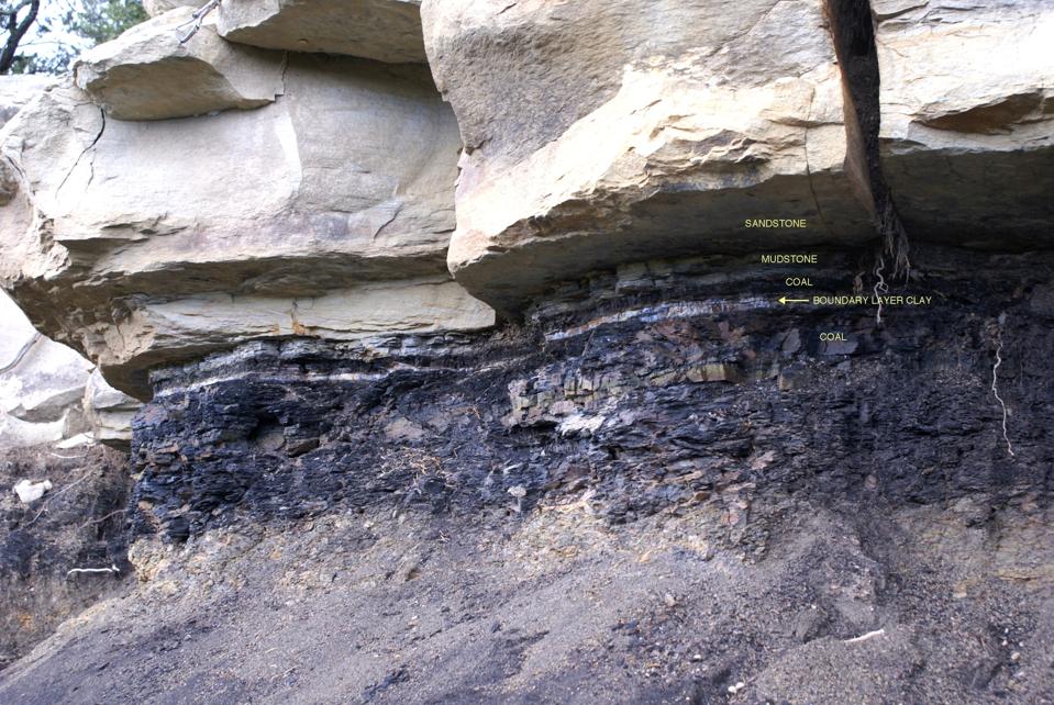 Lo strato limite Cretaceo-Paleogene è molto distinto nella roccia sedimentaria.
