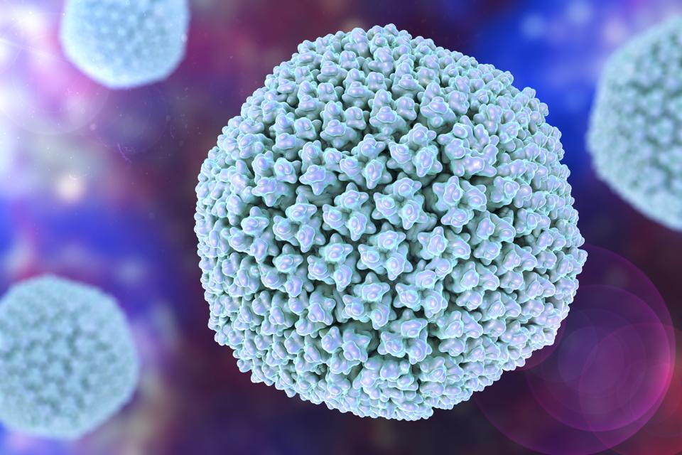 Adenovirus Outbreak Affects 3 University Of Wisconsin Campuses, What Is