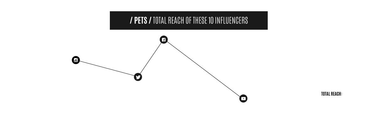 Top Influencers Of 2017 Pets Top Influencers Of 2017 Pets