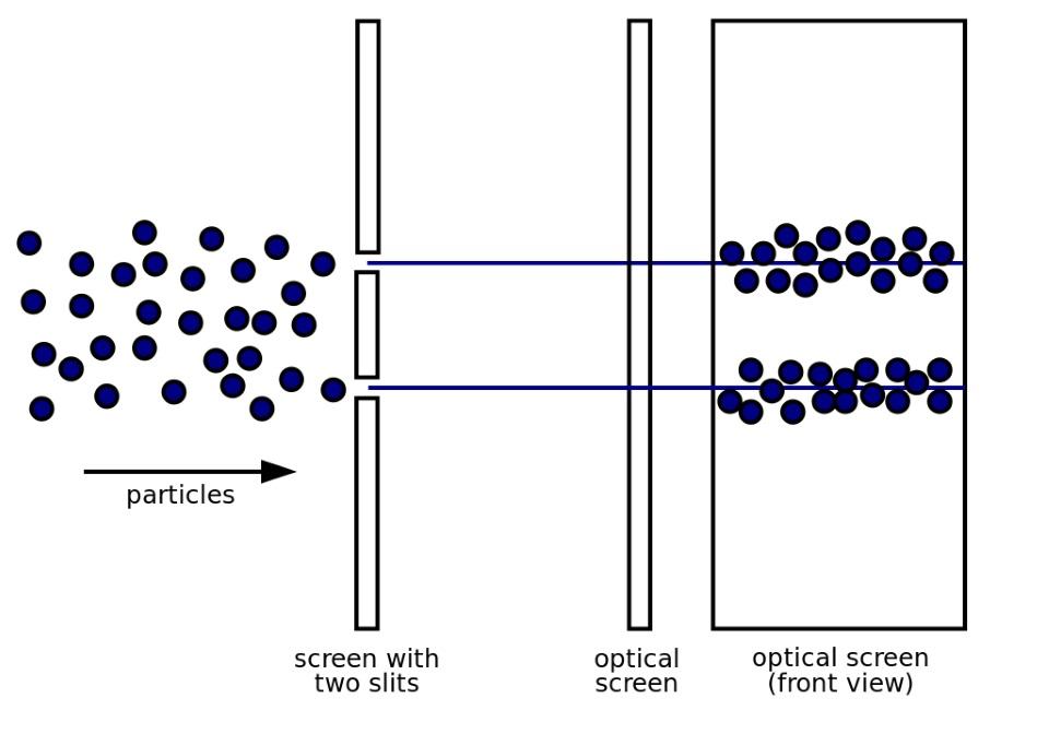 A double slit experiment exhibits no interference when measuring which slit it traverses.
