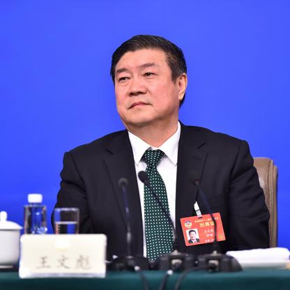 Image result for Wang Wenbiao