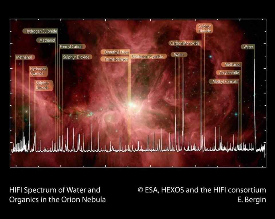 Signatures of organic, life-giving molecules are found all over, like in the Orion nebula.