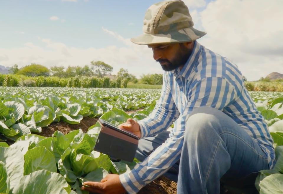 Sandip Shinde using the Plantix app to inspect his crops.