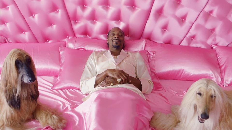 Exclusive Snoop Dogg Invests In Klarna Sweden S 2 5 Billion Unicorn