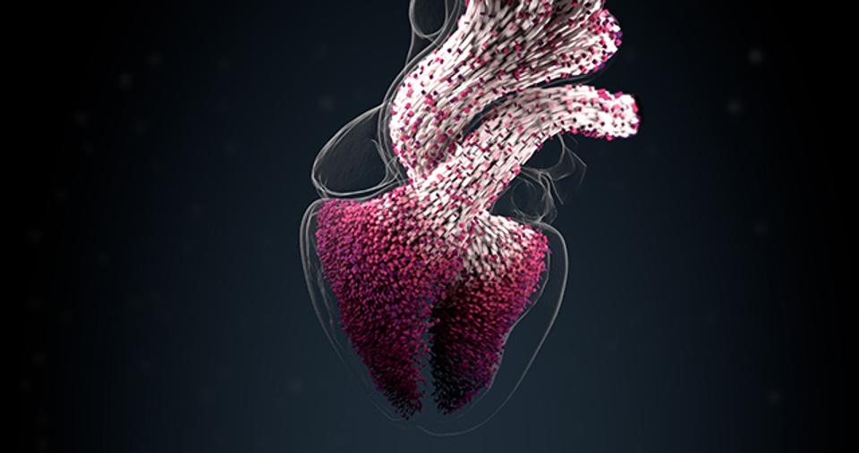 Oracle Brandvoice Barcelona Startup Creates 3d Models Of Diseased