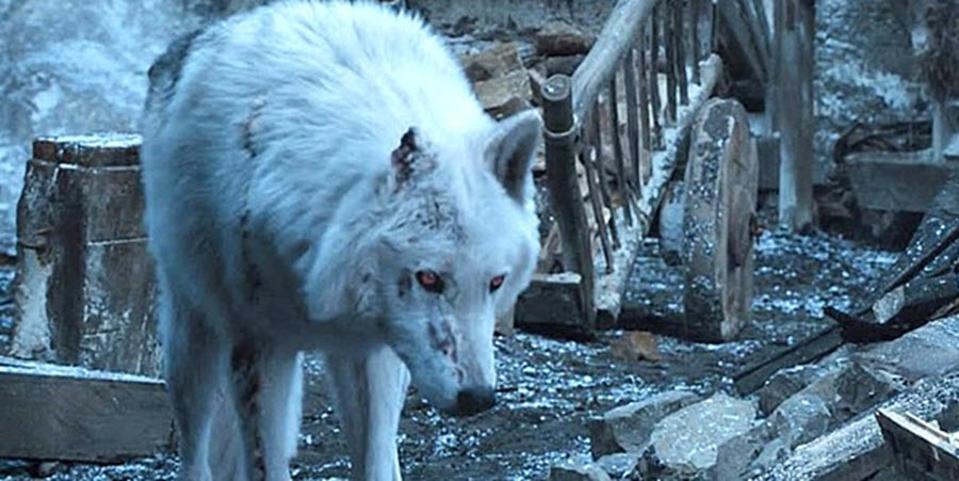 No One Is Buying Game Of Thrones Excuse For Not Letting Jon Pet