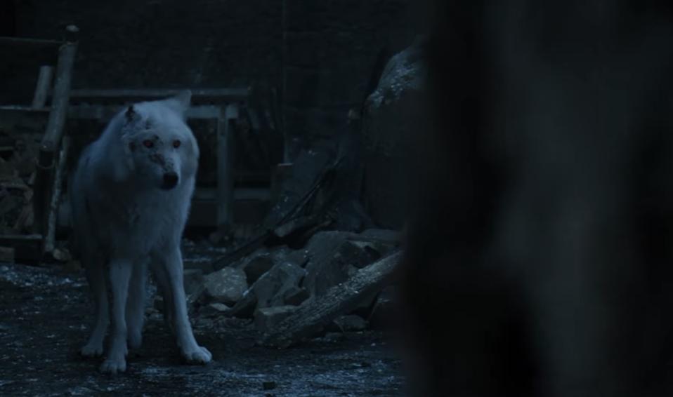 No One Is Buying Game Of Thrones Excuse For Not Letting Jon Pet