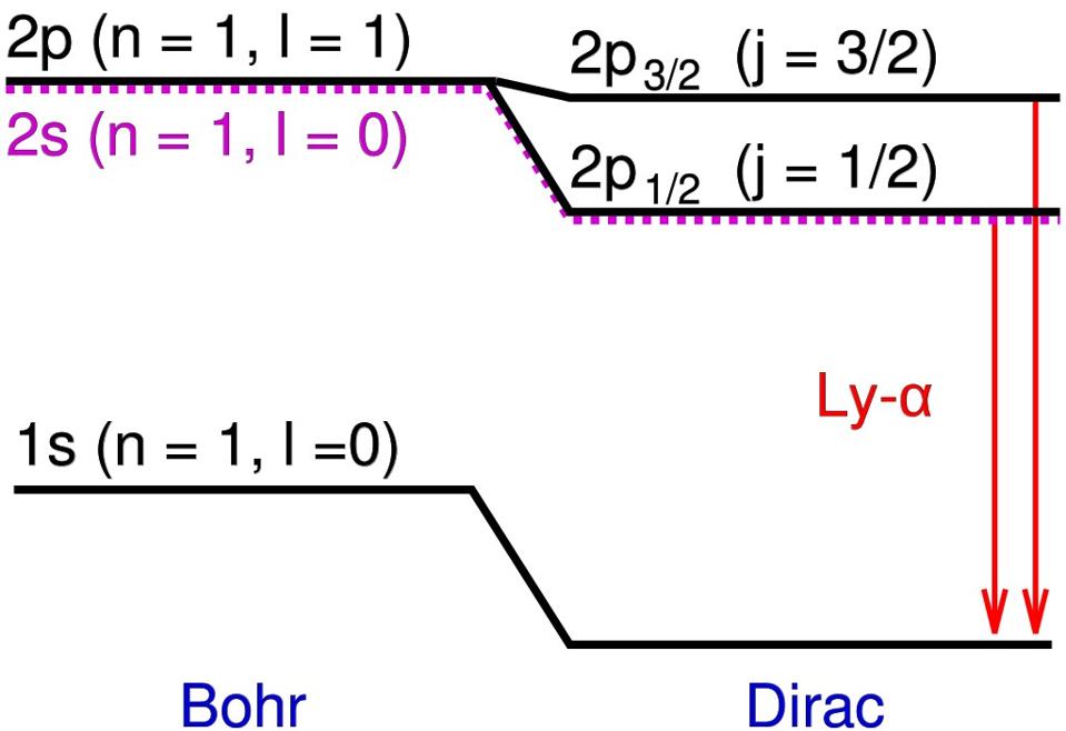 The difference between the Bohr and the Dirac model shows up in additional energy levels.