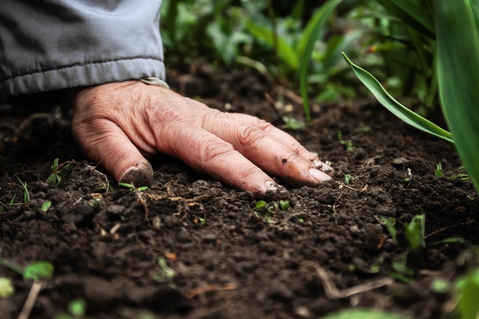 soil 3