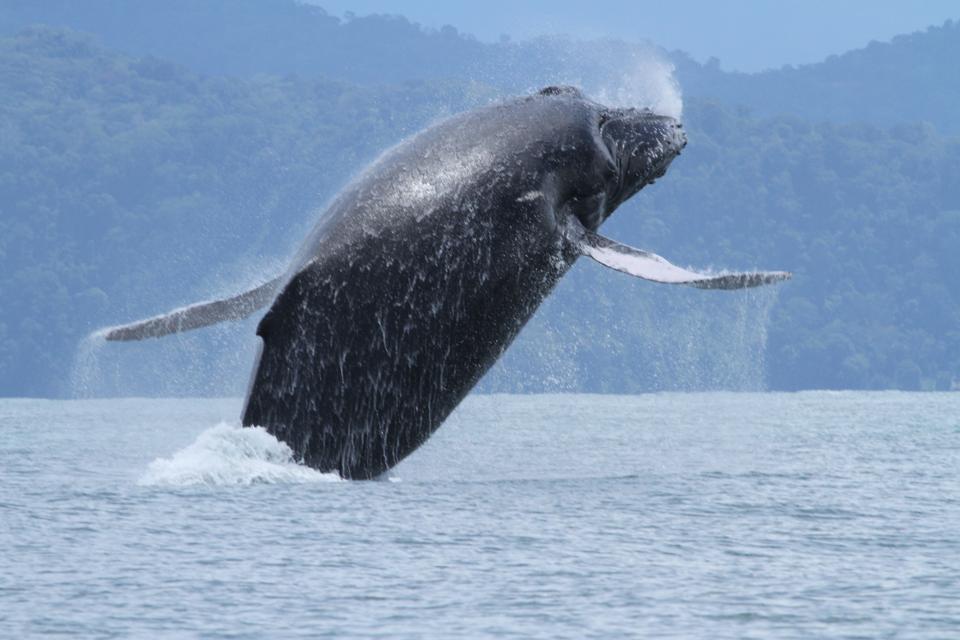 This Tropical Fjord Is Costa Rica S Best Kept Secret
