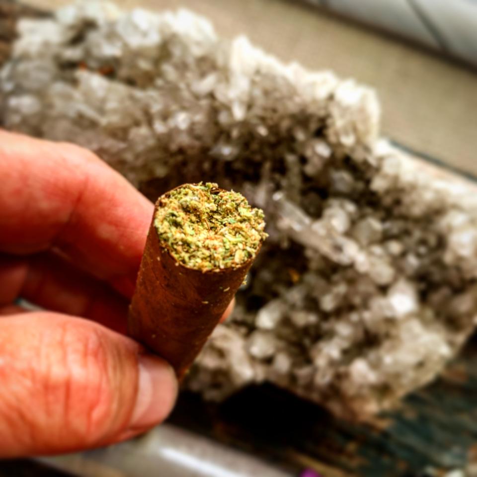 Where Can I Buy A Cannagar In Las Vegas