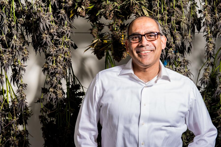 Five Responsive Questions With Adrian Sedlin, Effervescent CEO Of Canndescent