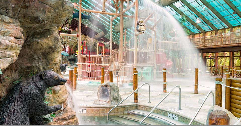 The Best PetFriendly Hotels In Gatlinburg, Tennessee