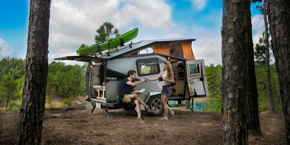 Cricket_by Taxa Outdooors