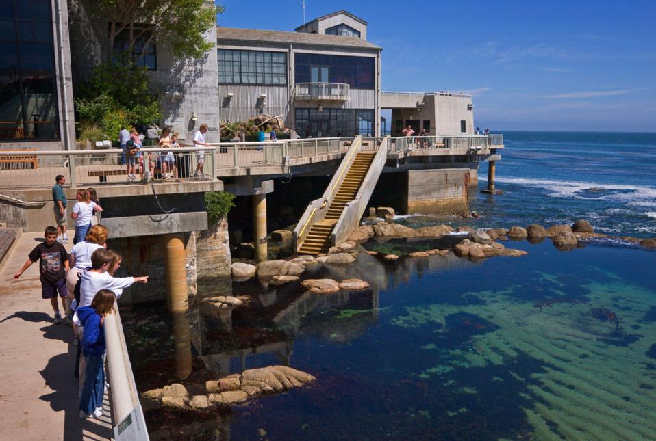 The Best Hotels Near Monterey Bay Aquarium - 960x0 The Best Hotels Near Monterey Bay Aquarium - 960x0